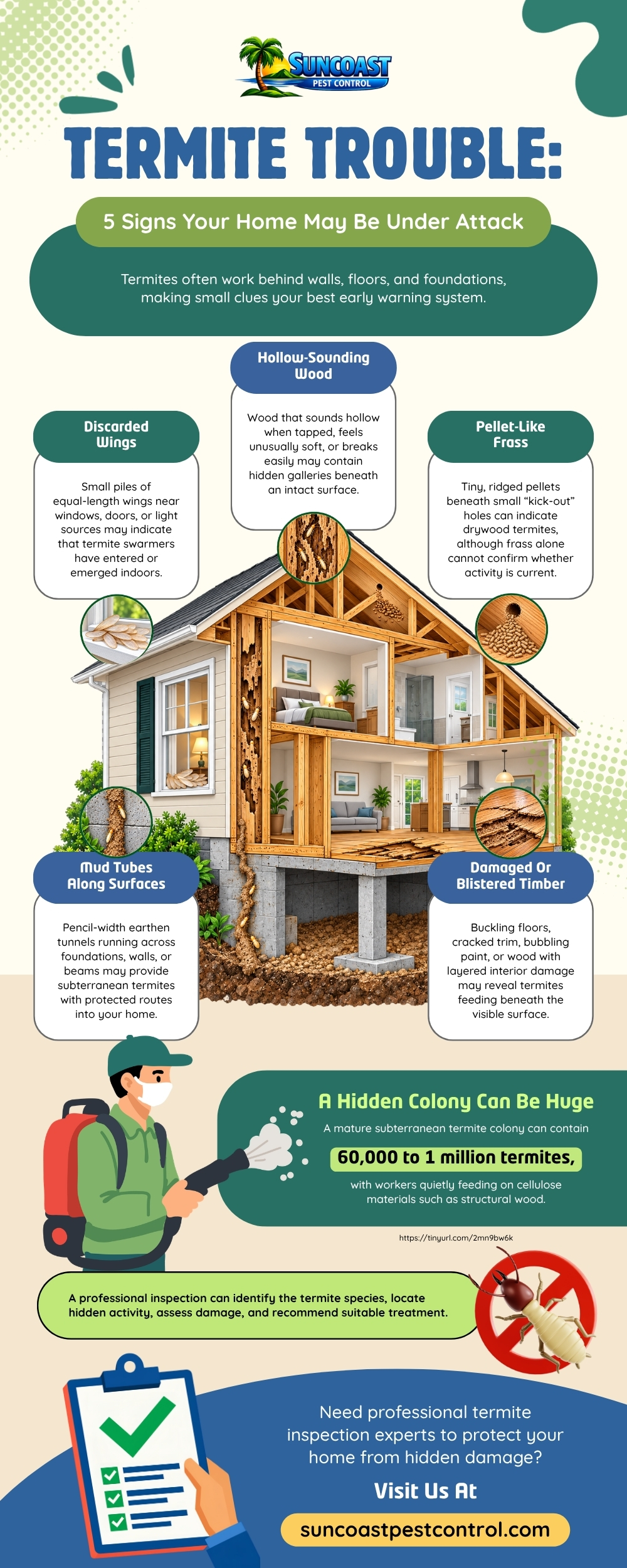 signs of termite attack on your house