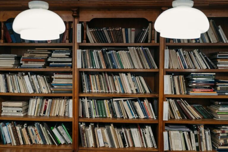 Wooden bookshelves holding a variety of books in warm light